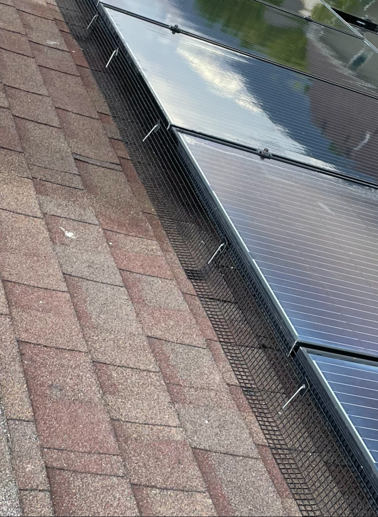 solar critter guard installation