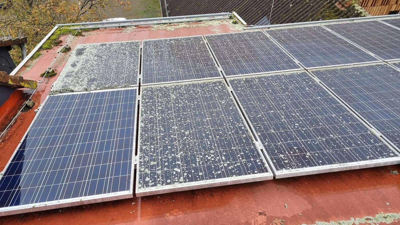 Solar Panel cleaning and maintenance